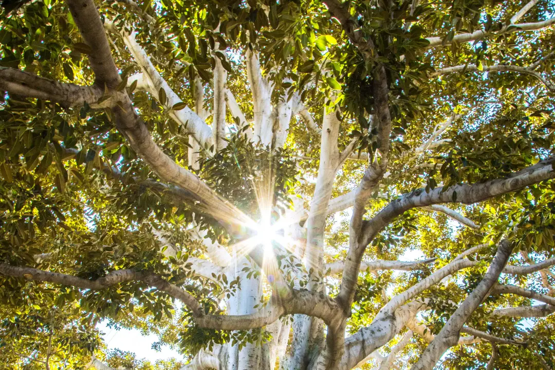 “Somos mais leais do que livres” – A Lealdade e a Liberdade no Amor